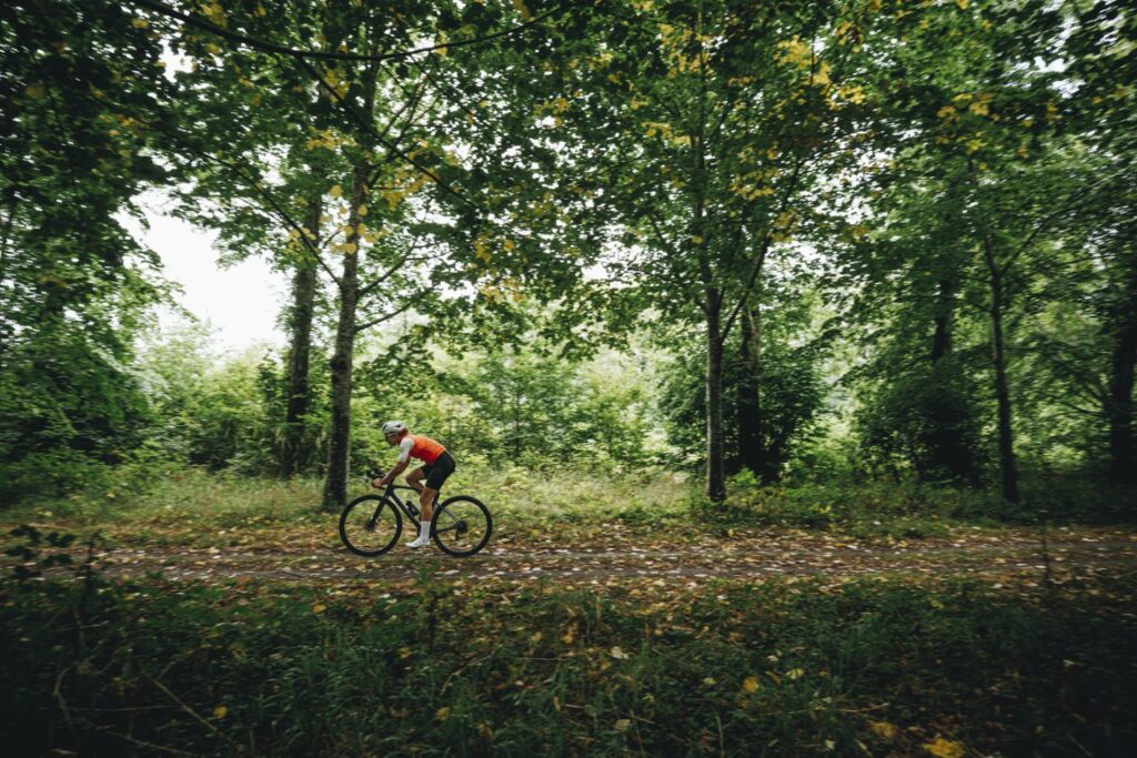Specialized-Roubaix-new-road-bike-blog-2024-image