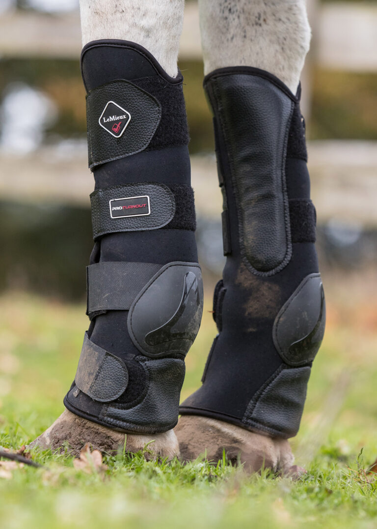 LeMieux Turnout Boots from RB Equestrian