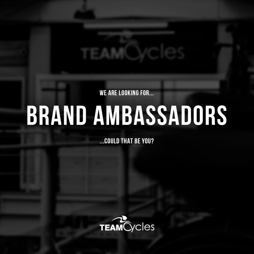 Brand Ambassador Search